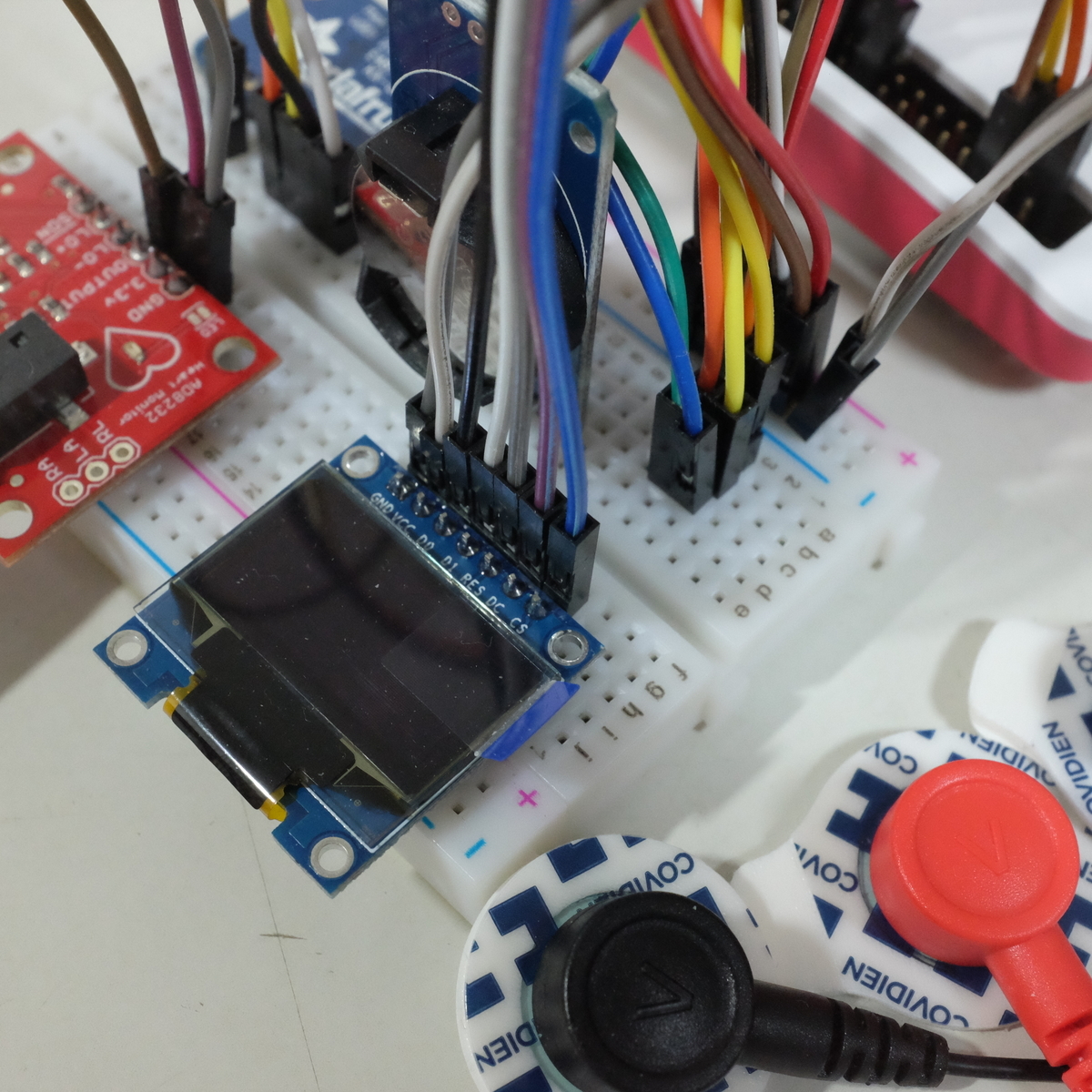 f:id:akcharine:20190427215525j:plain