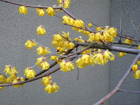 f:id:ake149:20080112130102j:image f:id:ake149:20080112130102j:image