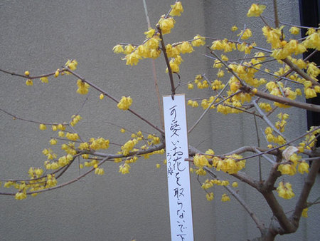f:id:ake149:20080112130326j:image f:id:ake149:20080112130326j:image