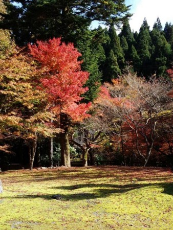 f:id:ake149:20151119082412j:image:left