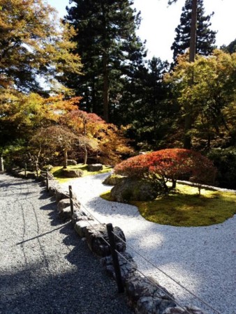 f:id:ake149:20151119082414j:image:left