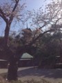20130321145220