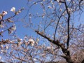 20130321145230