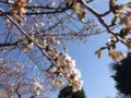 20130321145323