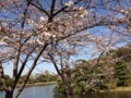 20130321145336