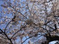 20130321150333