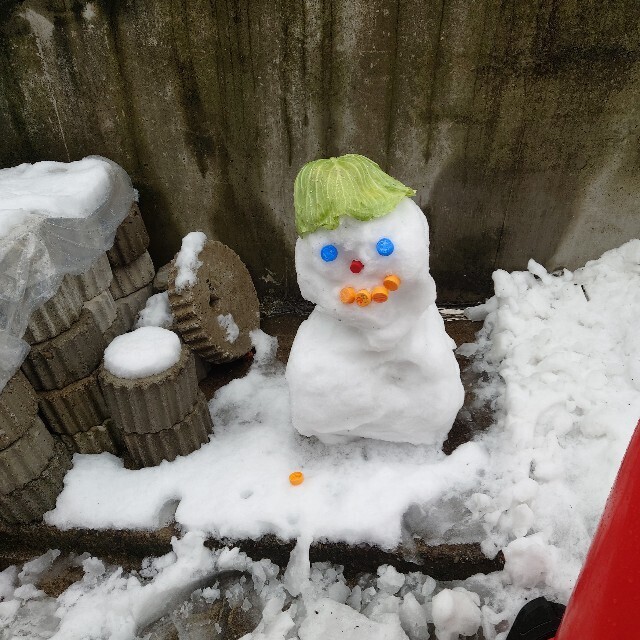 f:id:akebonobashi:20240207114107j:image