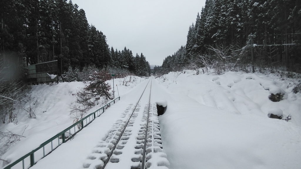 f:id:akebonozyukou:20190115210542j:plain f:id:akebonozyukou:20190115210542j:plain