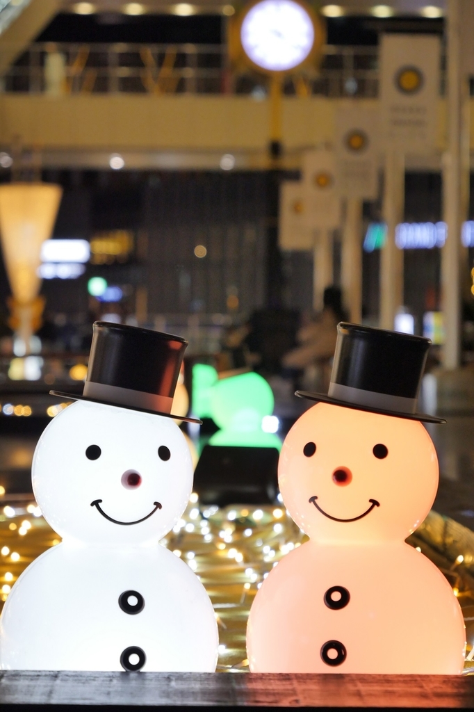 独自視点でレビュー Panasonic の 2本の12 60mm Lumix G Vario 12 60mmと Leica Dg Vario Elmarit 12 60mm ミツヒデのカメラ沼