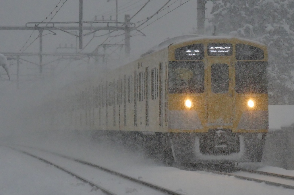 独自視点でレビュー Panasonic の 2本の12 60mm Lumix G Vario 12 60mmと Leica Dg Vario Elmarit 12 60mm ミツヒデのカメラ沼