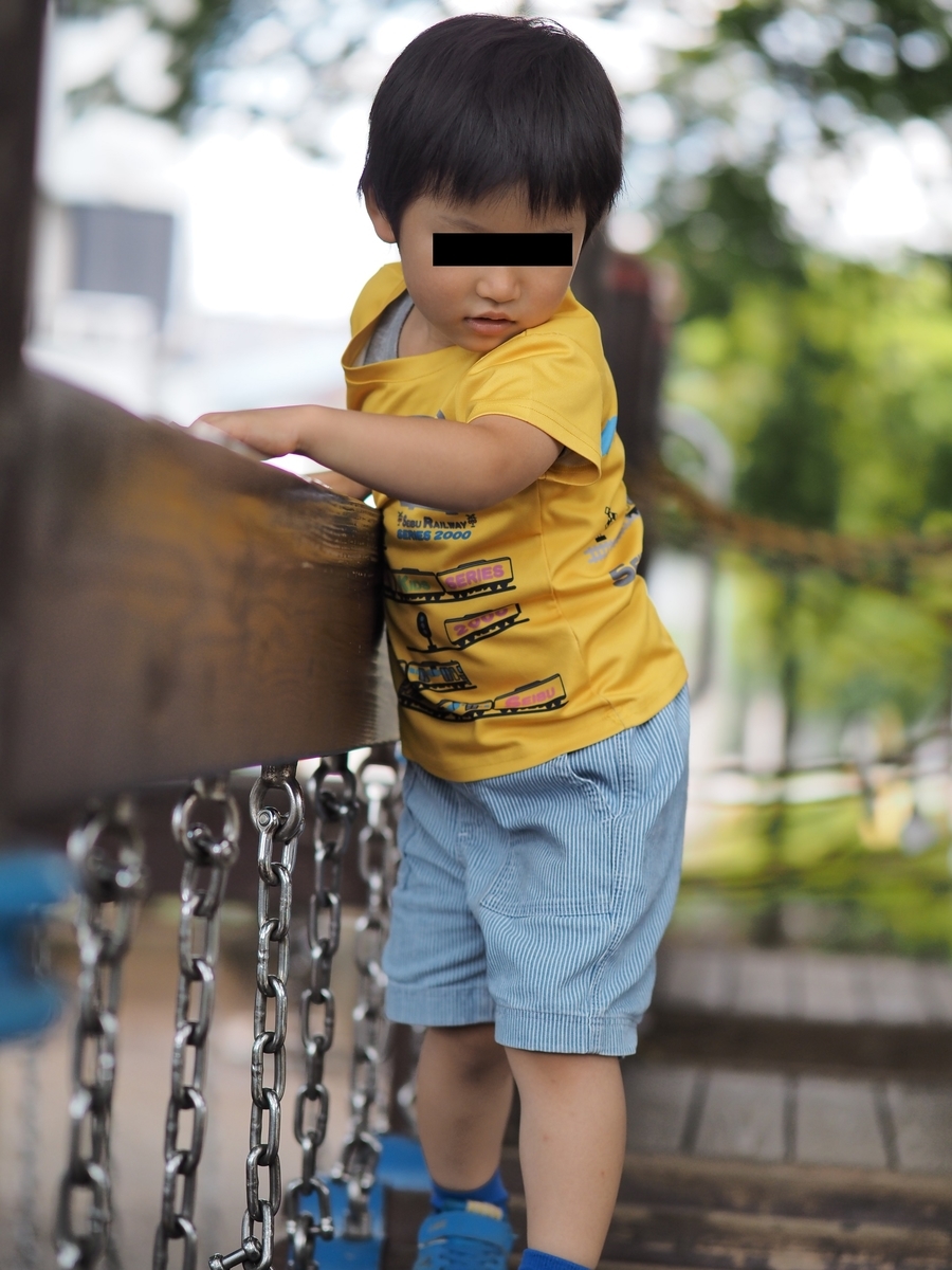 f:id:akechichan:20210912194947j:plain