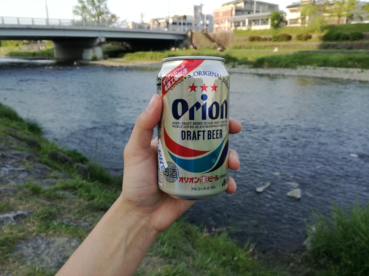f:id:akegatanoneko:20190506224057j:plain