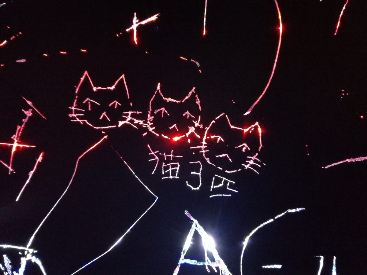 f:id:akegatanoneko:20190529142455j:plain