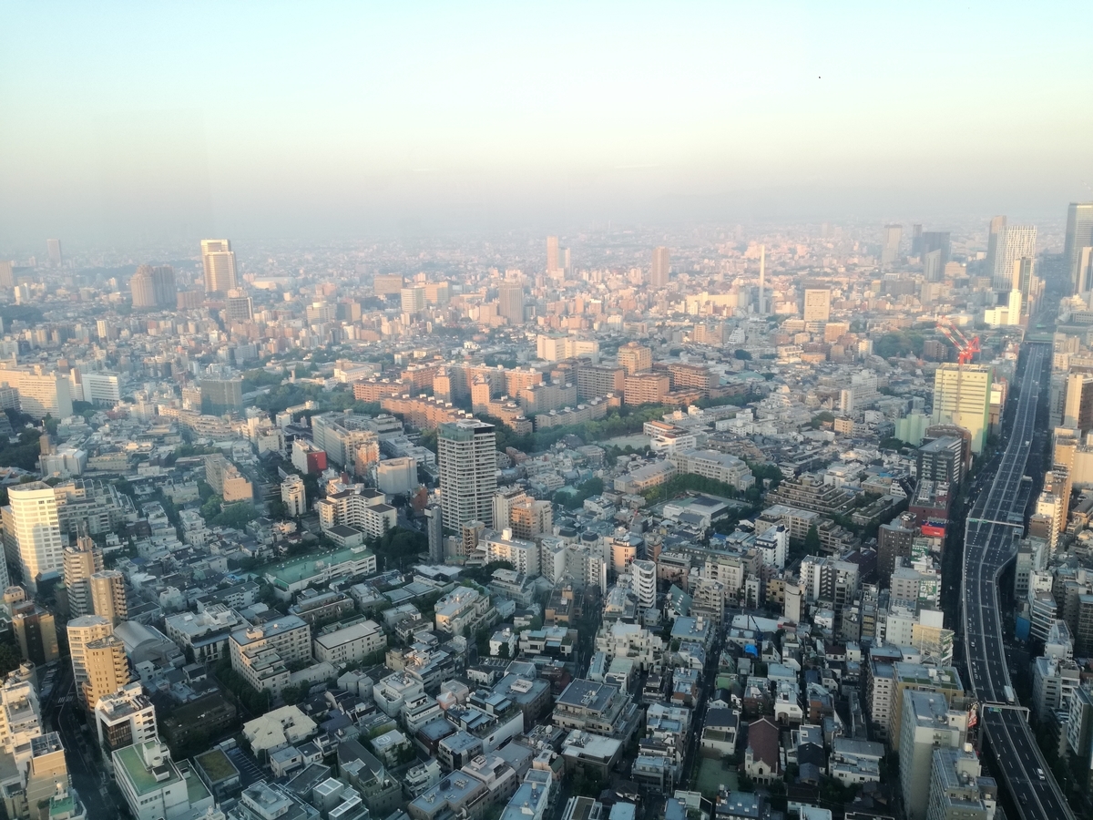 f:id:akegatanoneko:20190529142655j:plain