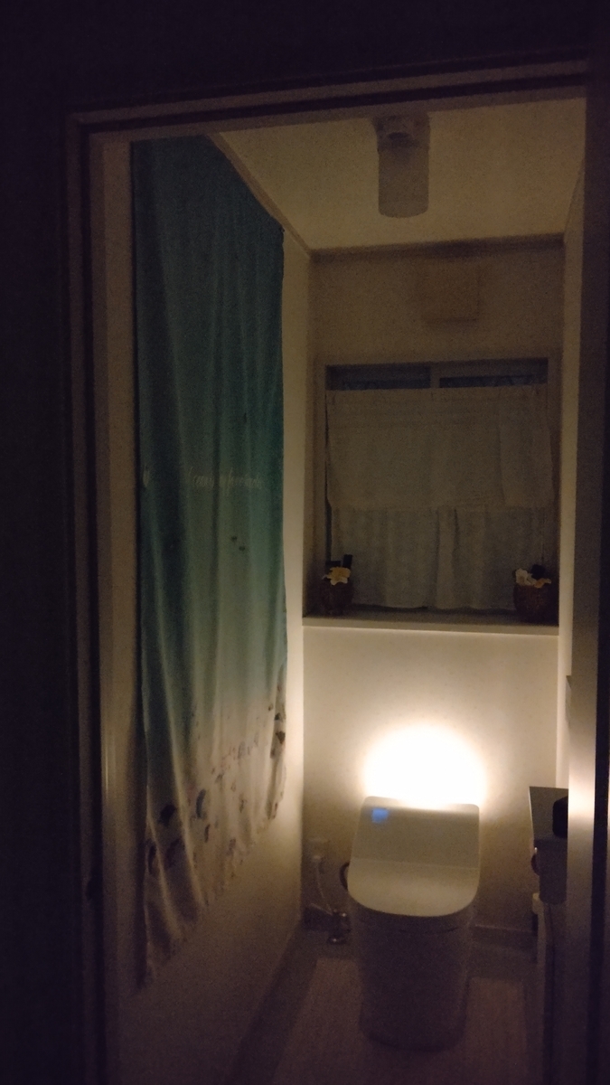 f:id:akekojun:20190816200738j:plain