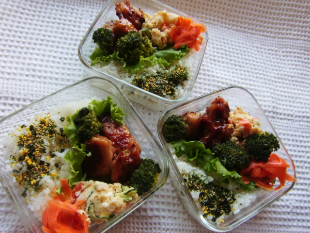 f:id:akemi1218:20081230212455j:image:left
