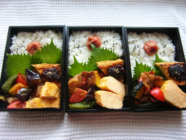 f:id:akemi1218:20090923221454j:image:left