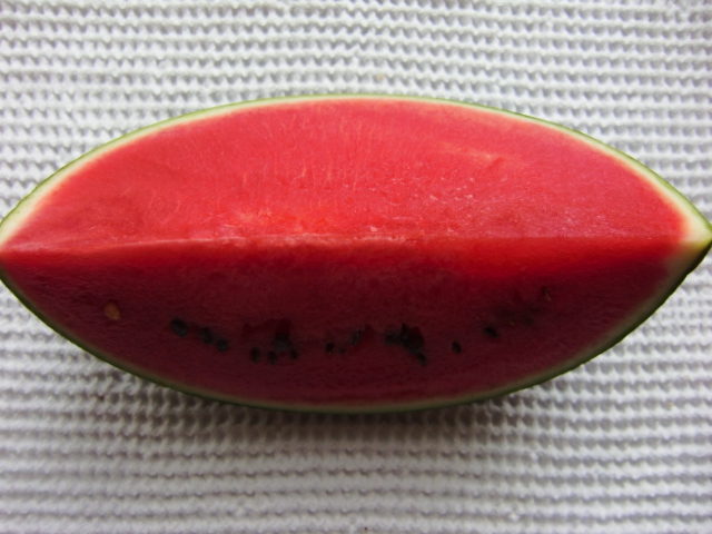 f:id:akemi1218:20090929223718j:image:left