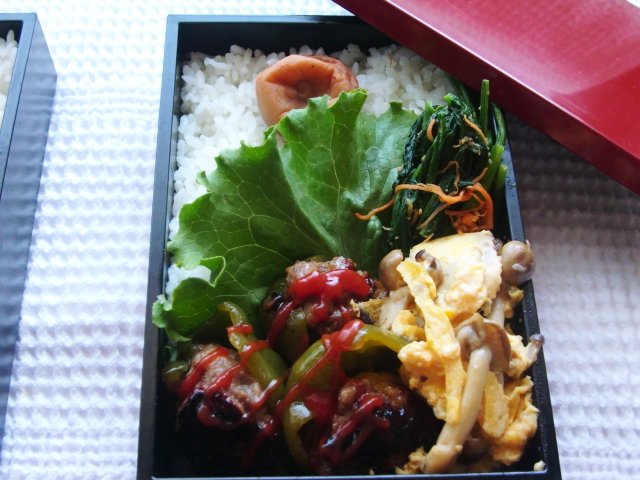 f:id:akemi1218:20091029234818j:image:left