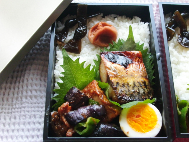 f:id:akemi1218:20091102223410j:image:left
