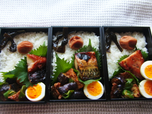 f:id:akemi1218:20091102223552j:image:left