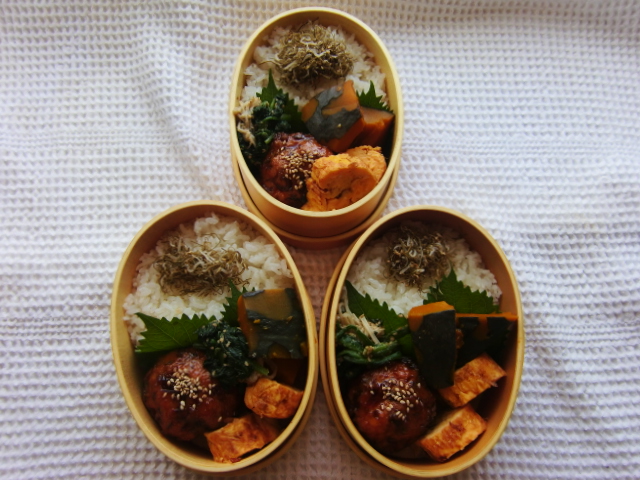 f:id:akemi1218:20091109235825j:image:left