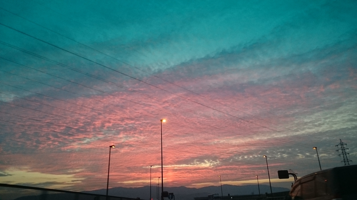 f:id:akemi1218:20190730134617j:plain