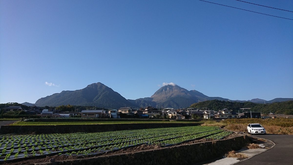 f:id:akemi1218:20191116105145j:plain f:id:akemi1218:20191116105145j:plain