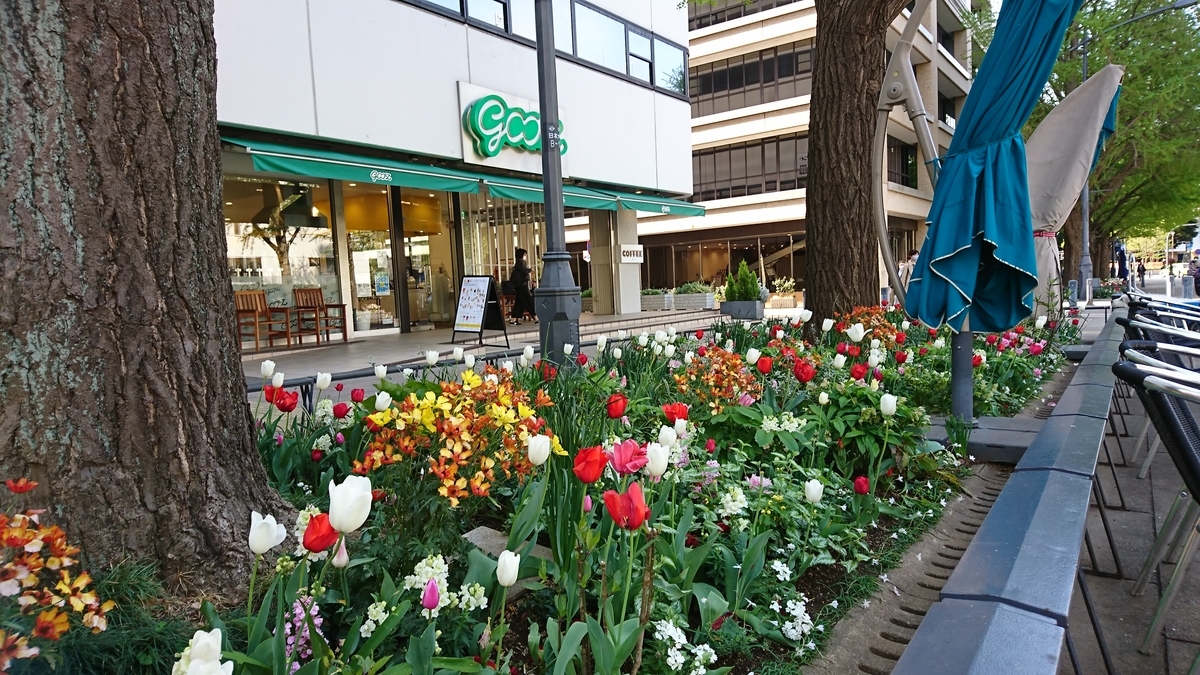 f:id:akemi1218:20210408093758j:plain