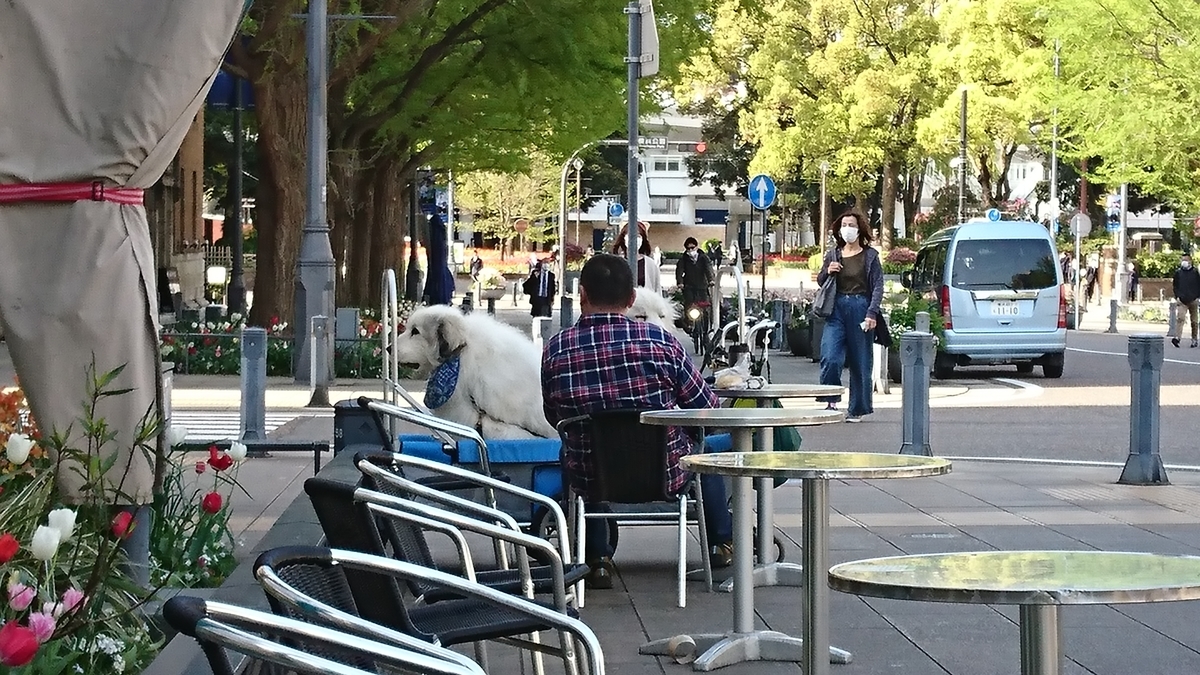 f:id:akemi1218:20210408095519j:plain