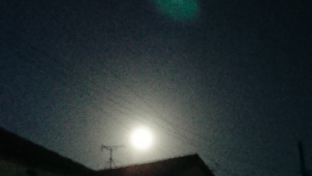 f:id:akemi1218:20210921145240j:plain