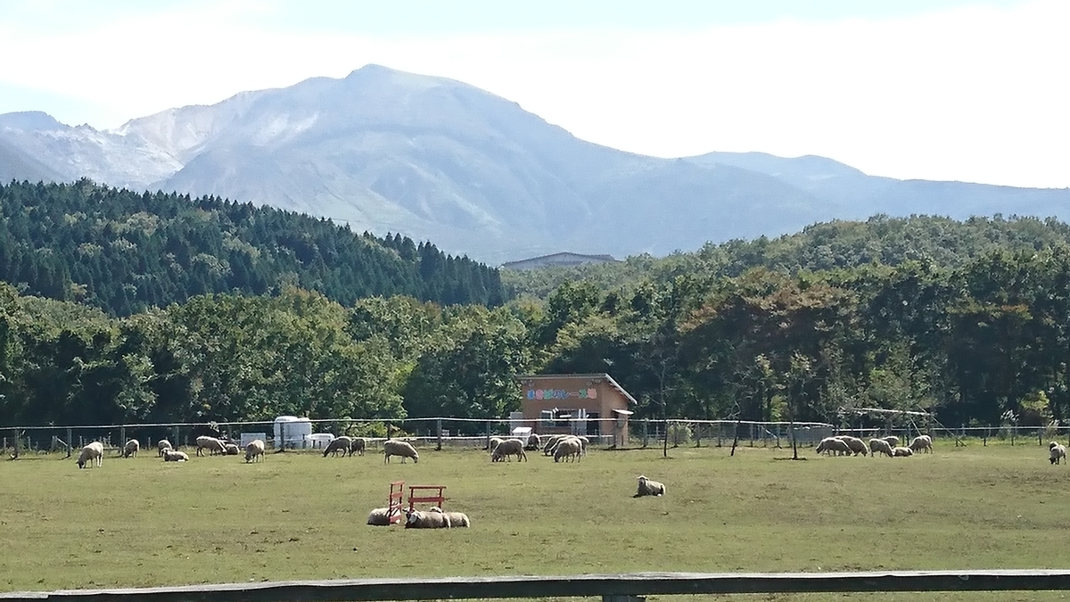 f:id:akemi1218:20211005131834j:plain