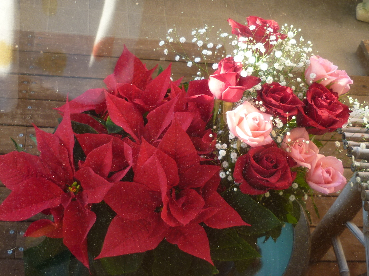 f:id:akemi1218:20211218115406j:plain