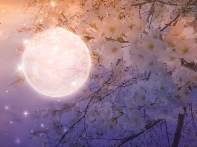 f:id:akemimama:20200222103405j:plain
