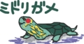 お絵かきしりとり