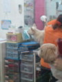 20100711155315