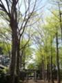 天祖神社b