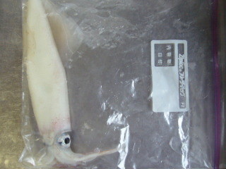 f:id:akeshin:20070102155121j:image