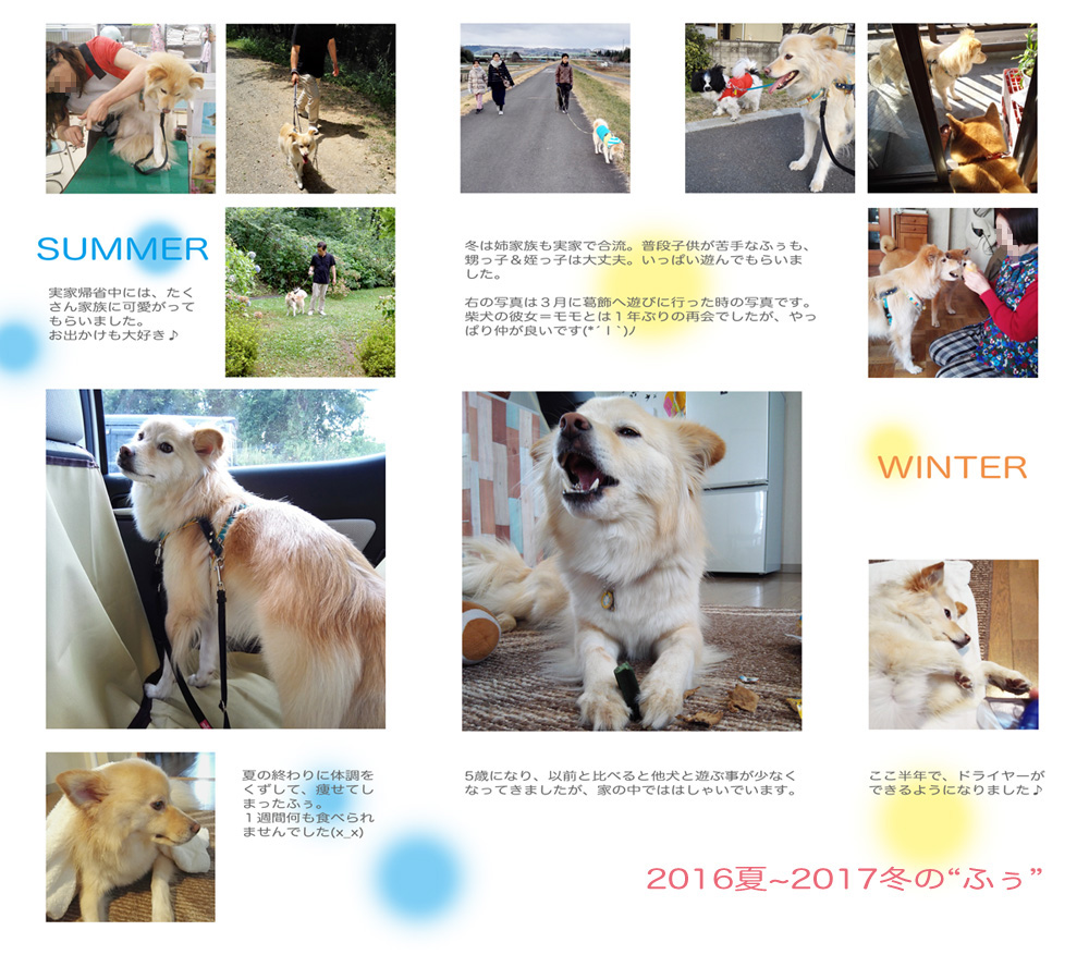 f:id:aketantohuu:20170317120310j:plain