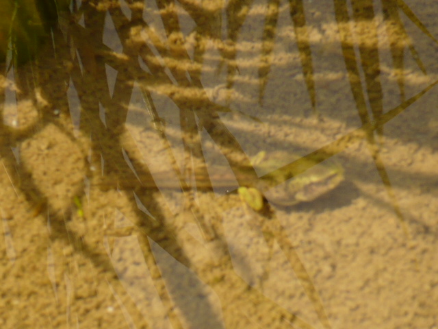 f:id:akeyno:20140617102402j:image