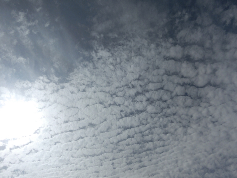 f:id:akeyno:20140813084638j:image f:id:akeyno:20140813084638j:image