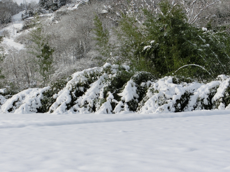 f:id:akeyno:20141218100623j:image