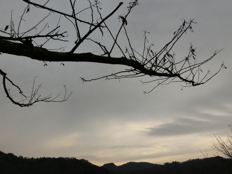 f:id:akeyno:20150316172918j:image f:id:akeyno:20150316172918j:image
