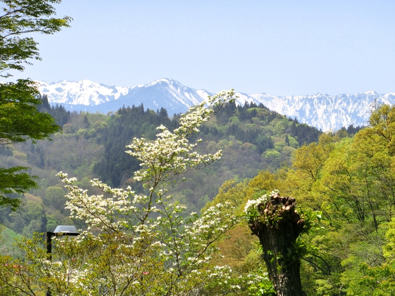 f:id:akeyno:20150501114054j:image f:id:akeyno:20150501114054j:image