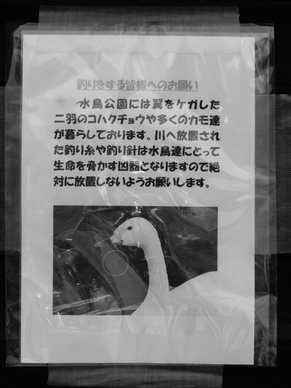 f:id:akeyno:20150501114229j:image f:id:akeyno:20150501114229j:image