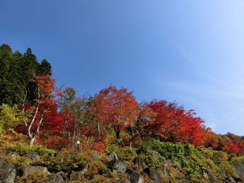 f:id:akeyno:20151020135311j:image f:id:akeyno:20151020135311j:image