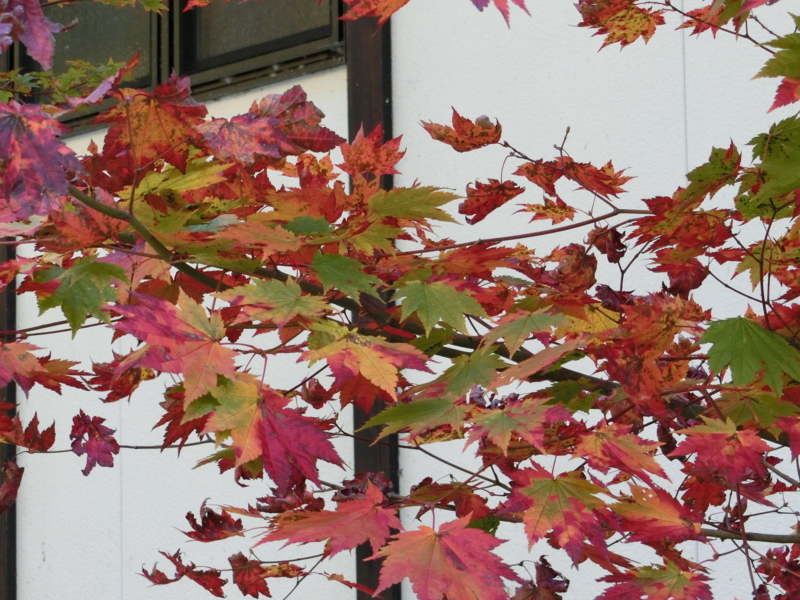 f:id:akeyno:20151020141341j:image