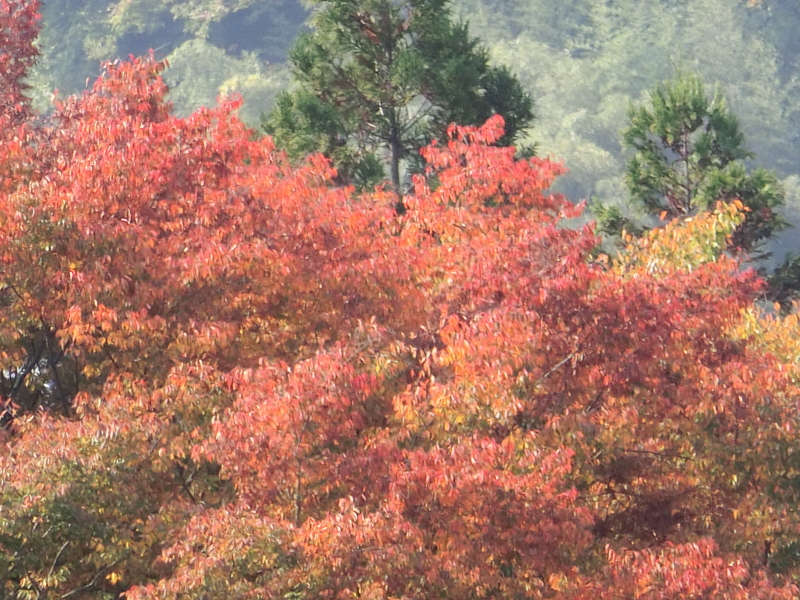 20151022100954