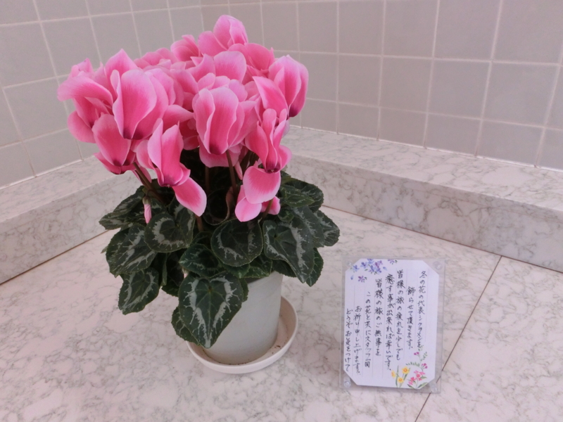 f:id:akeyno:20151218150953j:image f:id:akeyno:20151218150953j:image