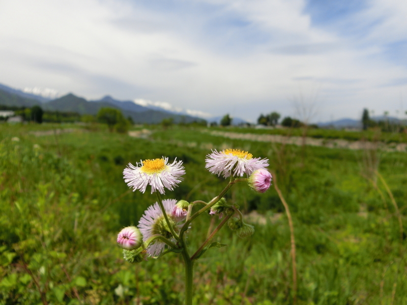 f:id:akeyno:20180512125635j:image f:id:akeyno:20180512125635j:image